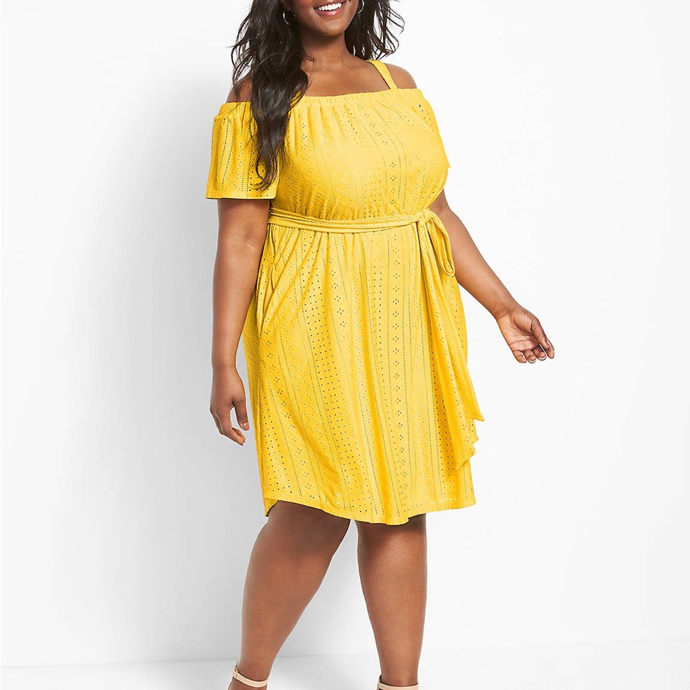 Cold-Shoulder Flutter-Sleeve Eyelet Swing Dress
